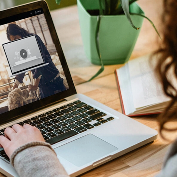 3 copy-440-0-702-702-1718979154